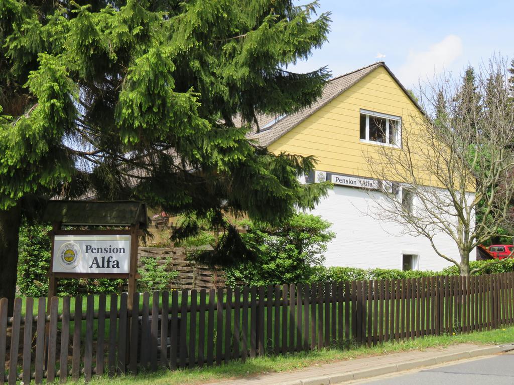 Pension Alfa Sankt Andreasberg Exterior foto