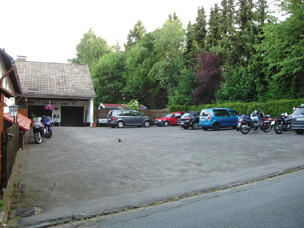 Pension Alfa Sankt Andreasberg Exterior foto